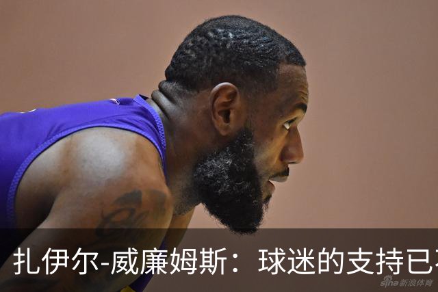 扎伊尔-威廉姆斯：球迷的支持已不再只属于我一人