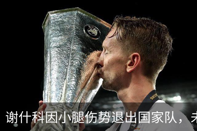 谢什科因小腿伤势退出国家队，未来回归时间尚未确定